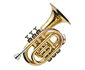 J.Michael Pocket Trumpet.Lacqr/Case