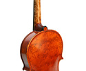Gliga Vasile Violin Special Series: Birdseye