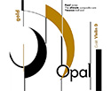 OPAL GOLD Professional Violin D Nylon/Silver