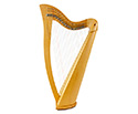 Folk Harp - 22 String Plain Sides - Round Back w/Bag