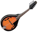 Indiana Mandolin - A-Style w/F-Holes B-M1