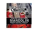 Echosonic Mandolin strings (11-38) Med
