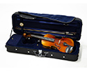 Raggetti RV5 Violin Outfit in TG Lightweight Case - 4/4