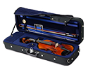 Raggetti RV7AE Setup Violin Package-4/4