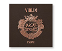 Jargar EVOKE Violin Set